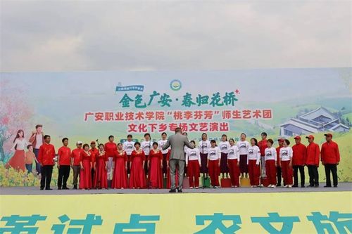 民盟廣安市委會開展文化下鄉志愿服務活動，促進城鄉文化藝術交流